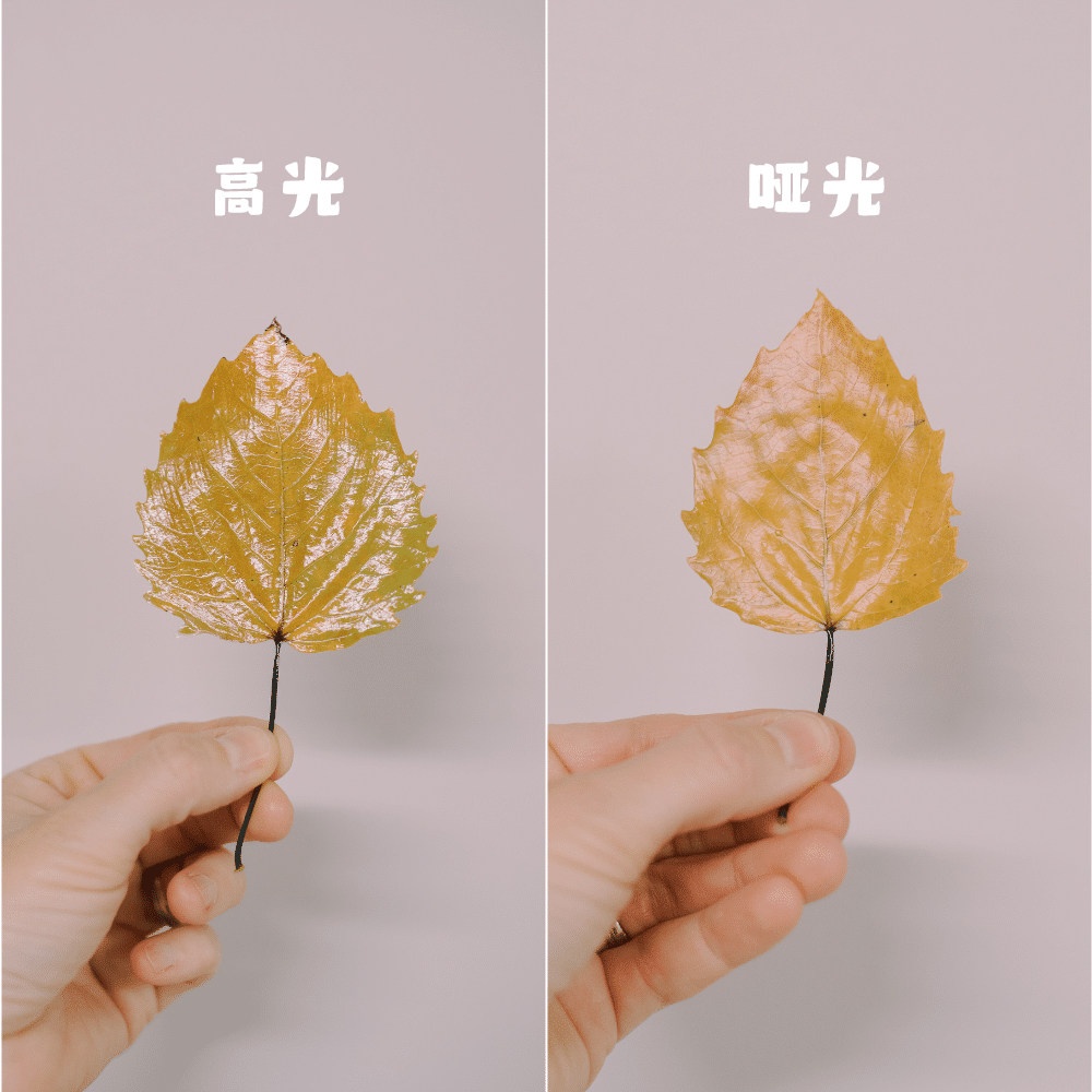 モッドポッド マットシーラー接着剤＆仕上げ剤 速乾 簡単洗浄 - Woodworking Quick Glue のレビューと価格