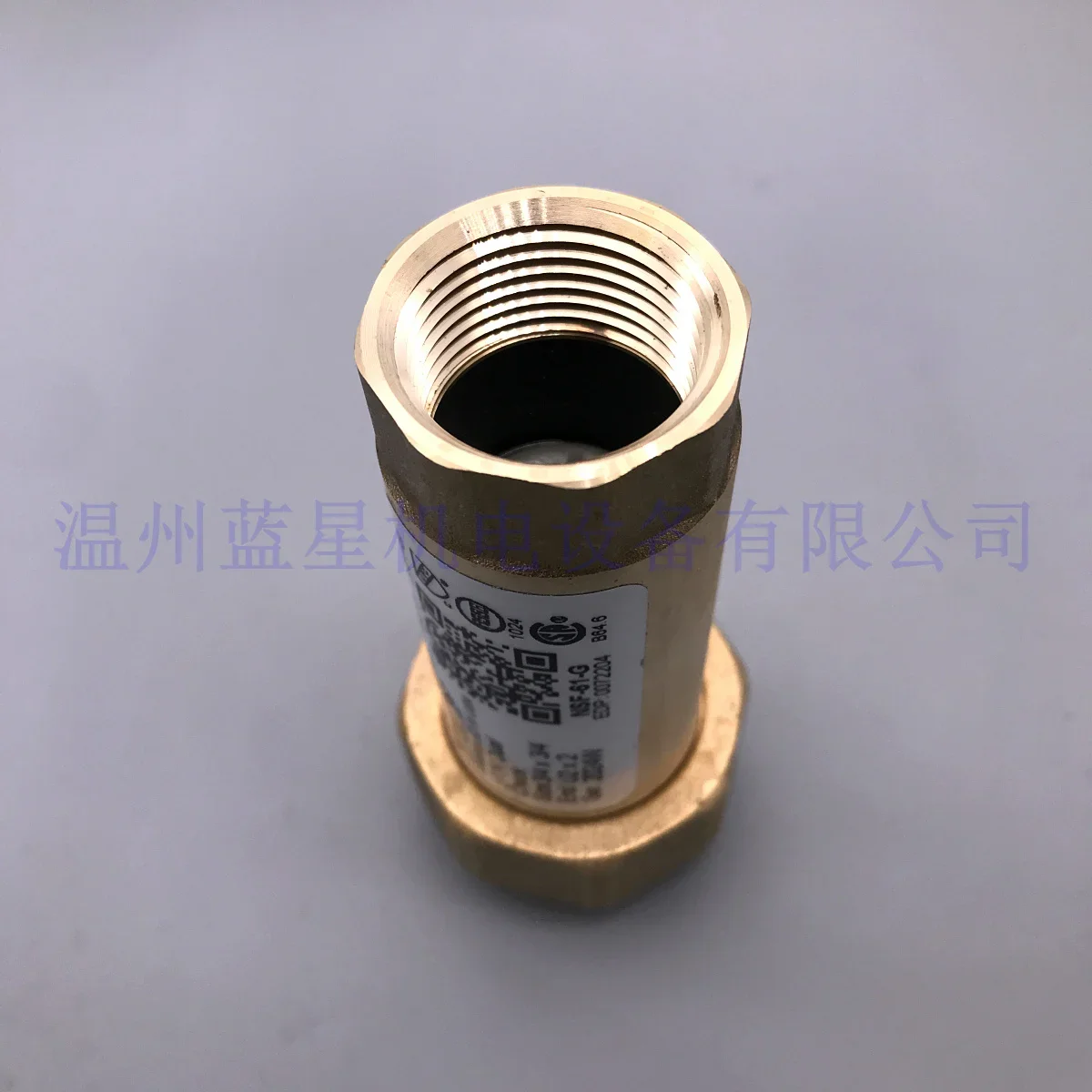 2026 LF7RU2-2 ワッツ WATTS 銅製チェック - Woodworking Usa のレビューと価格